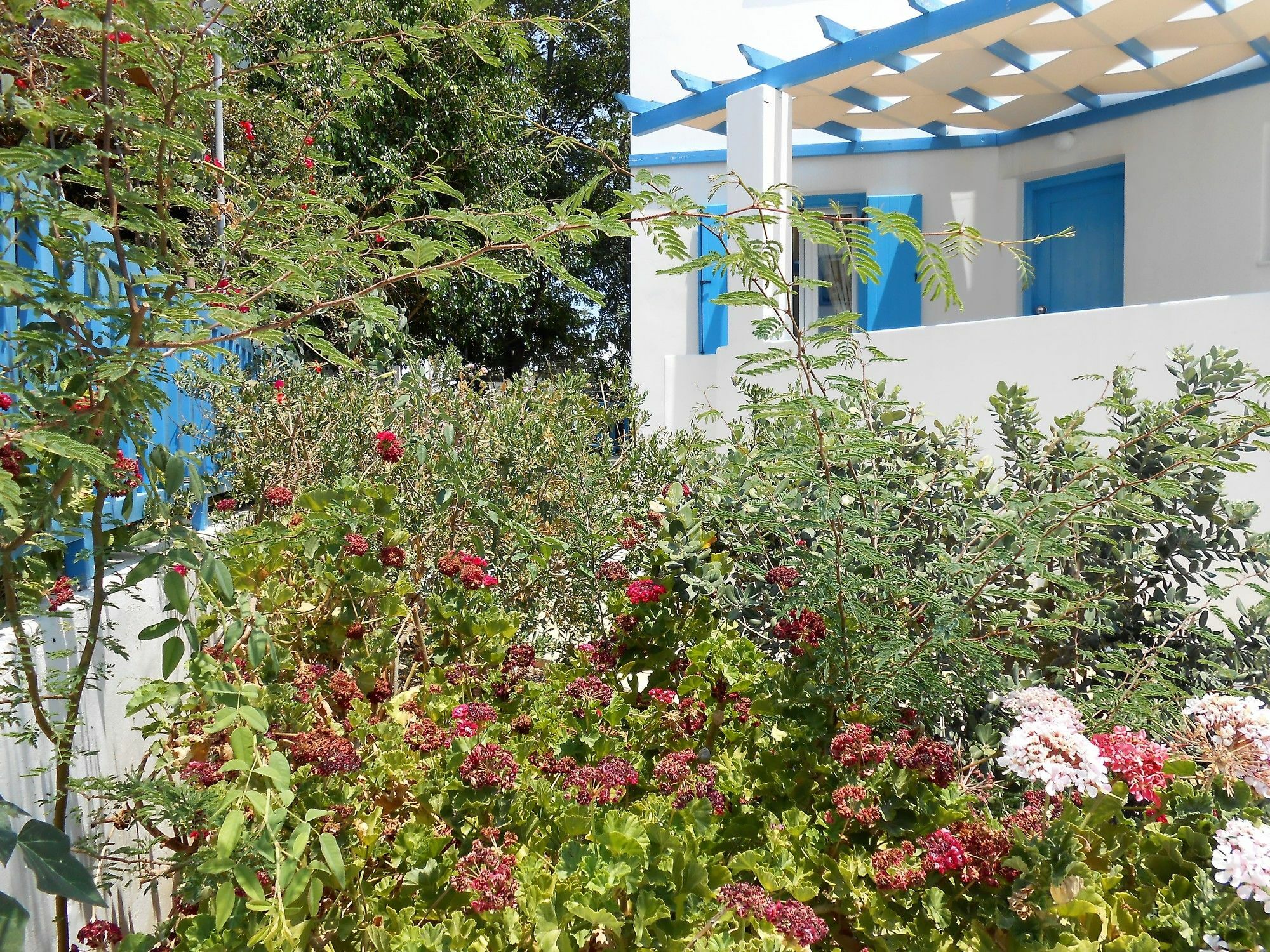 Studio Livanios Αδάμας Εξωτερικό φωτογραφία
